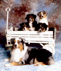 chance with his kids
